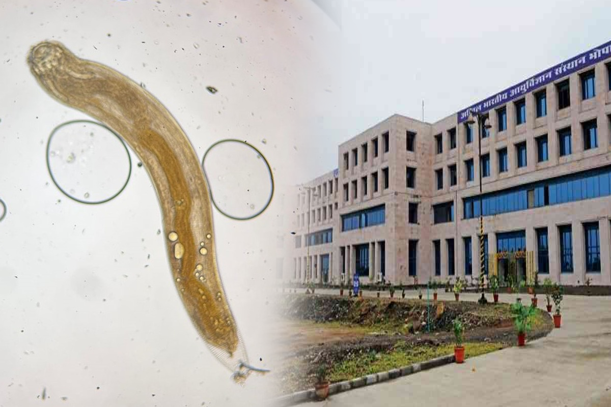 Bhopal AIIMS