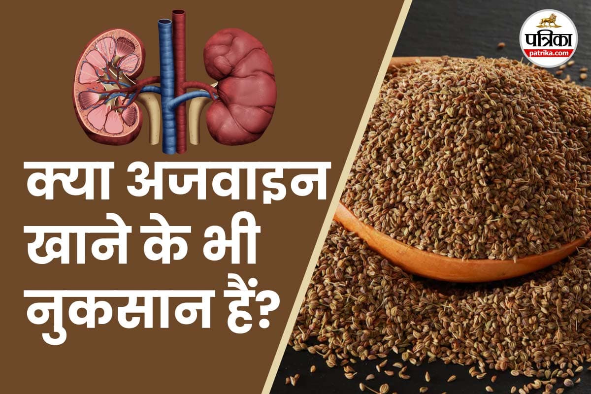 फोटो सोर्स – Freepik,फोटो डिजाइन- पत्रिका.com