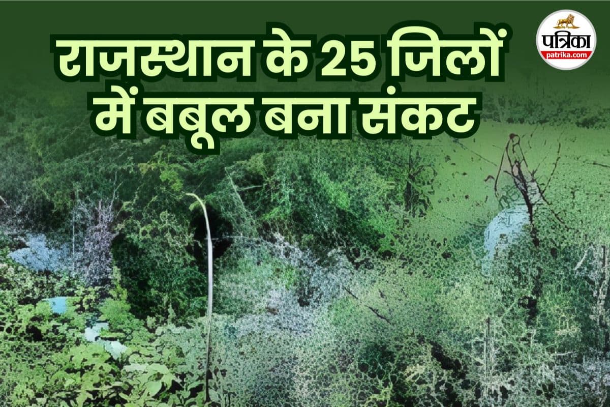 Sawaimadhopur news