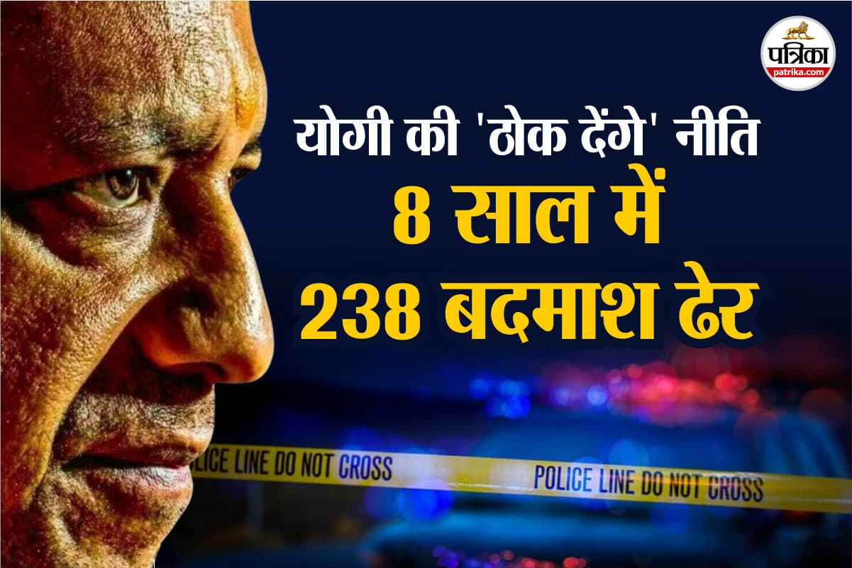 Yogi Zero Tolerance