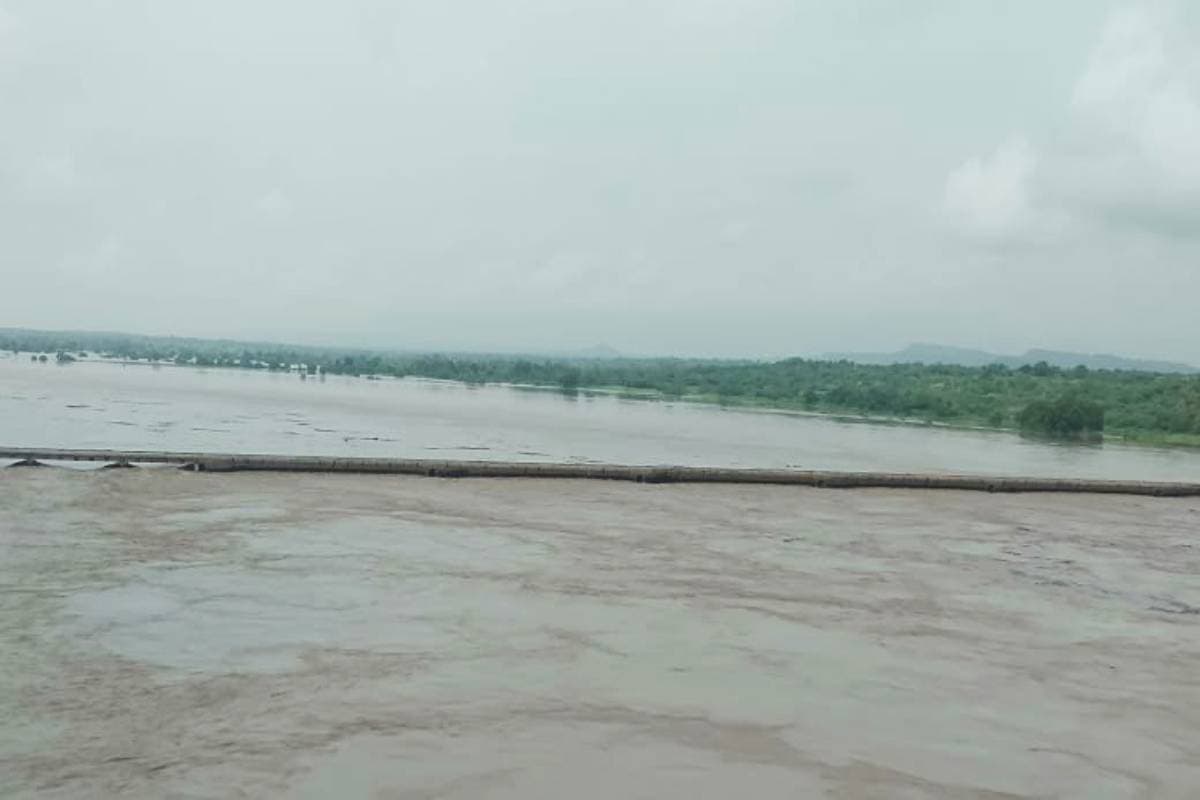 chambal river