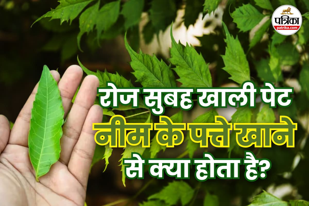 Neem leaves health benefits फोटो सोर्स – Freepik