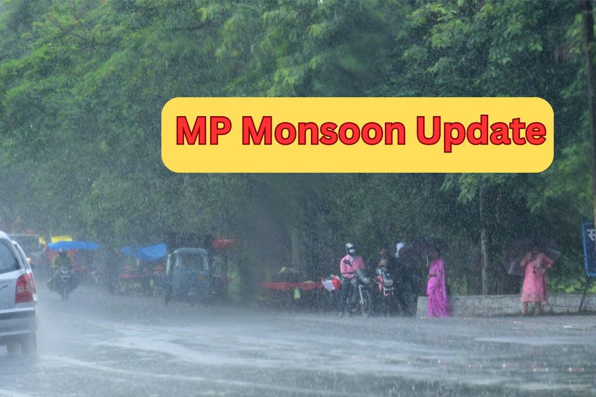 monsoon update mp weather very heavy rain warning flood alert water curfew (Patrika.com)