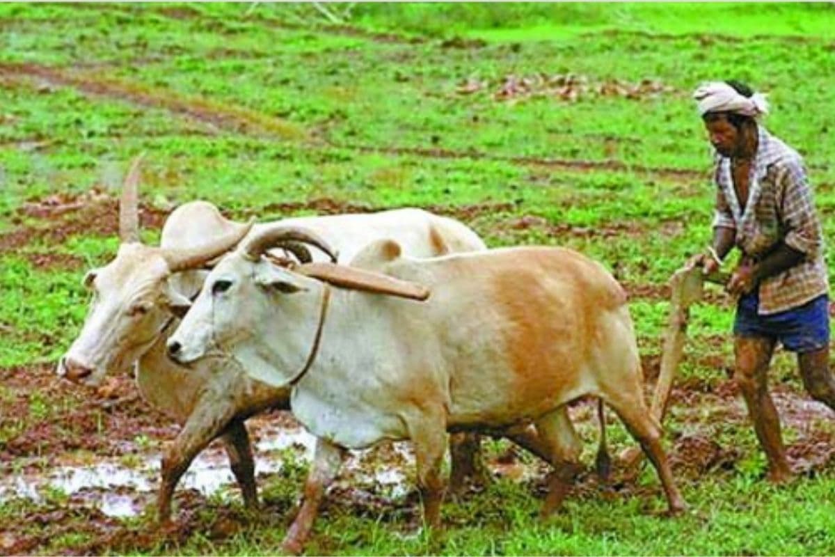 PM Kisan 20th installment